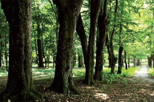 PARK U SUHOPOLJU - Najbolje u Hrvatskoj 