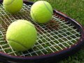 TENIS KLUB DINAMO - Najbolje u Hrvatskoj 