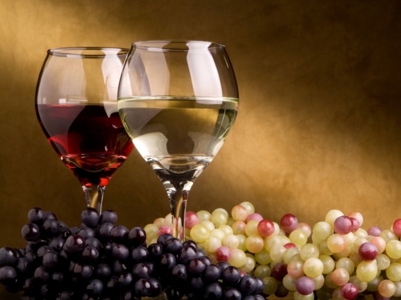 VINA VINARIJE OPAČAK, TUČEPI - Najbolje u Hrvatskoj 