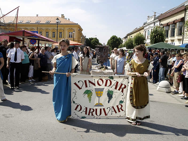 VINODAR U DARUVARU, 04.-11.06.2017. - Najbolje u Hrvatskoj 