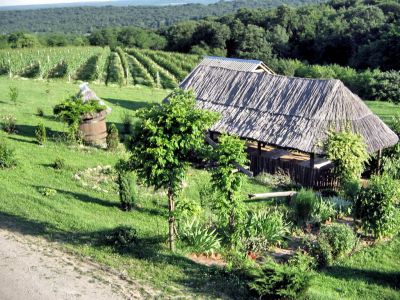 VINSKO-TURISTIČKE CESTE ĐAKOVAČKOG VINOGORJA - Najbolje u Hrvatskoj 