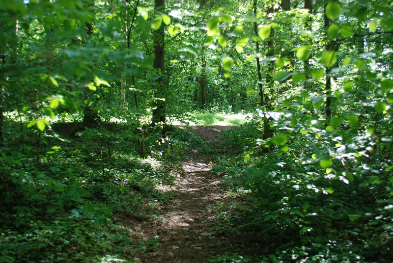PARK ŠUMA ŽUPETNICA - Najbolje u Hrvatskoj 