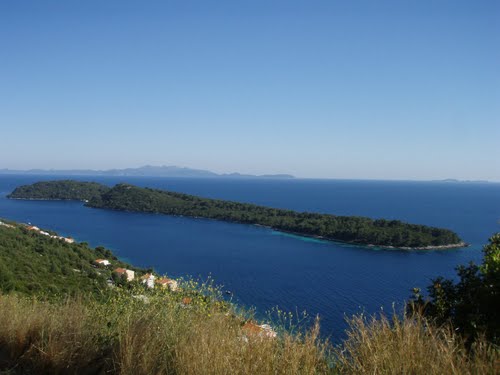 OTOČIĆ ZVIRINOVIK - Najbolje u Hrvatskoj 
